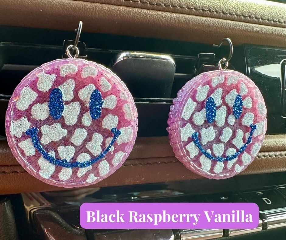 Freshie- Happy Cheetah Face Vent Clip Set